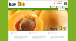 Desktop Screenshot of ilbaykayisi.com